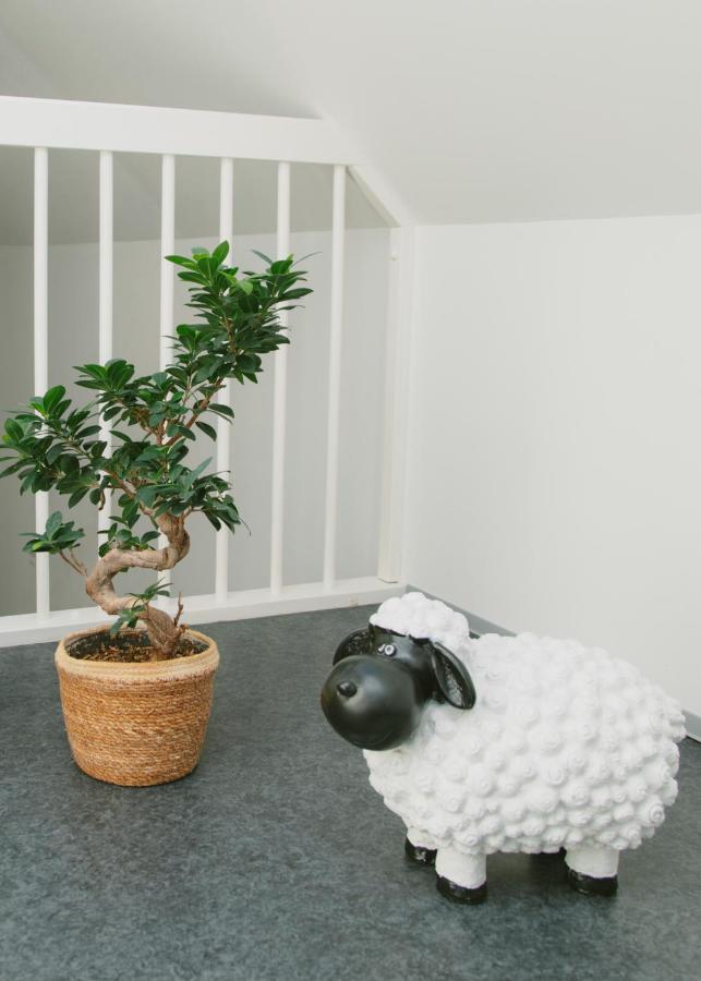 Gaestehaus Vigliarolo Gewerblich Jedes Zimmer Eigenes Bad Gemeinschaftskueche Elmshorn Ngoại thất bức ảnh